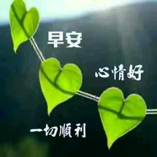 梦之缘