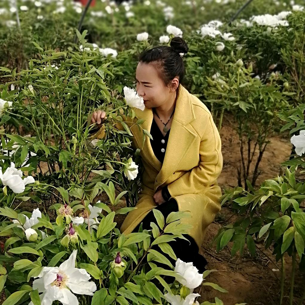 不能说的秘密