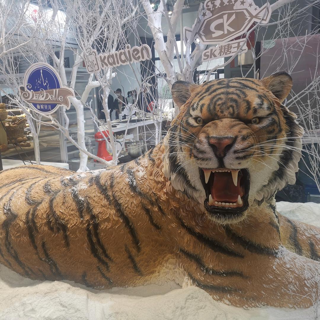 圣光