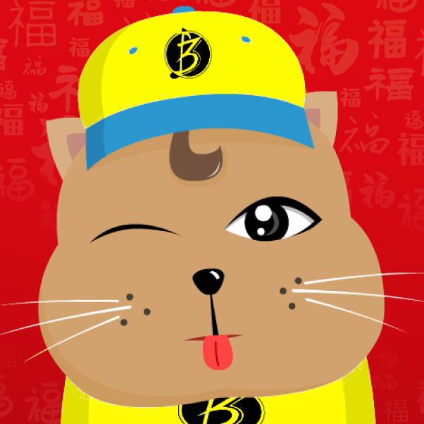 阿猫讲滩头
