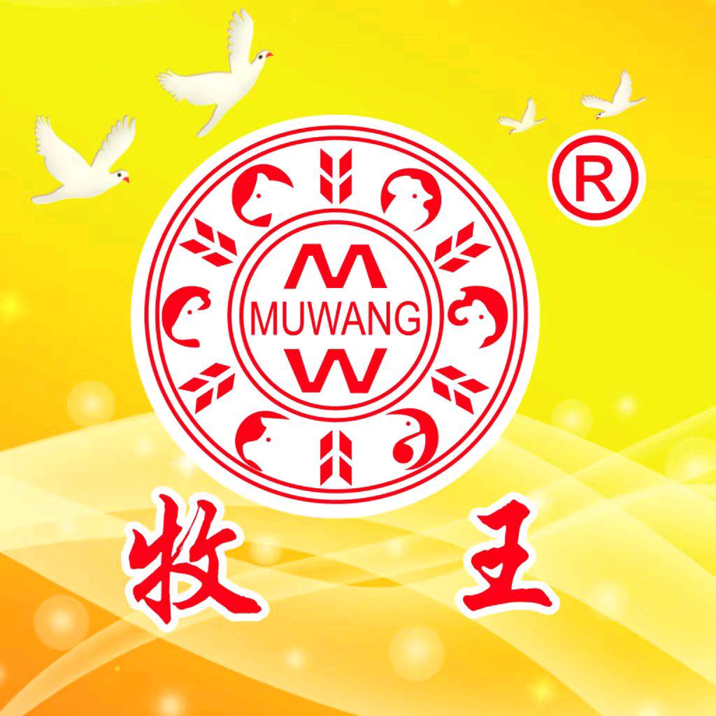 牧王韩医生《渔医生》