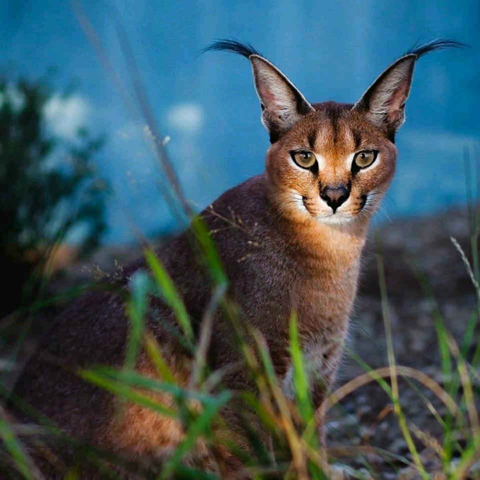 晋江和平路（泉州85℃）