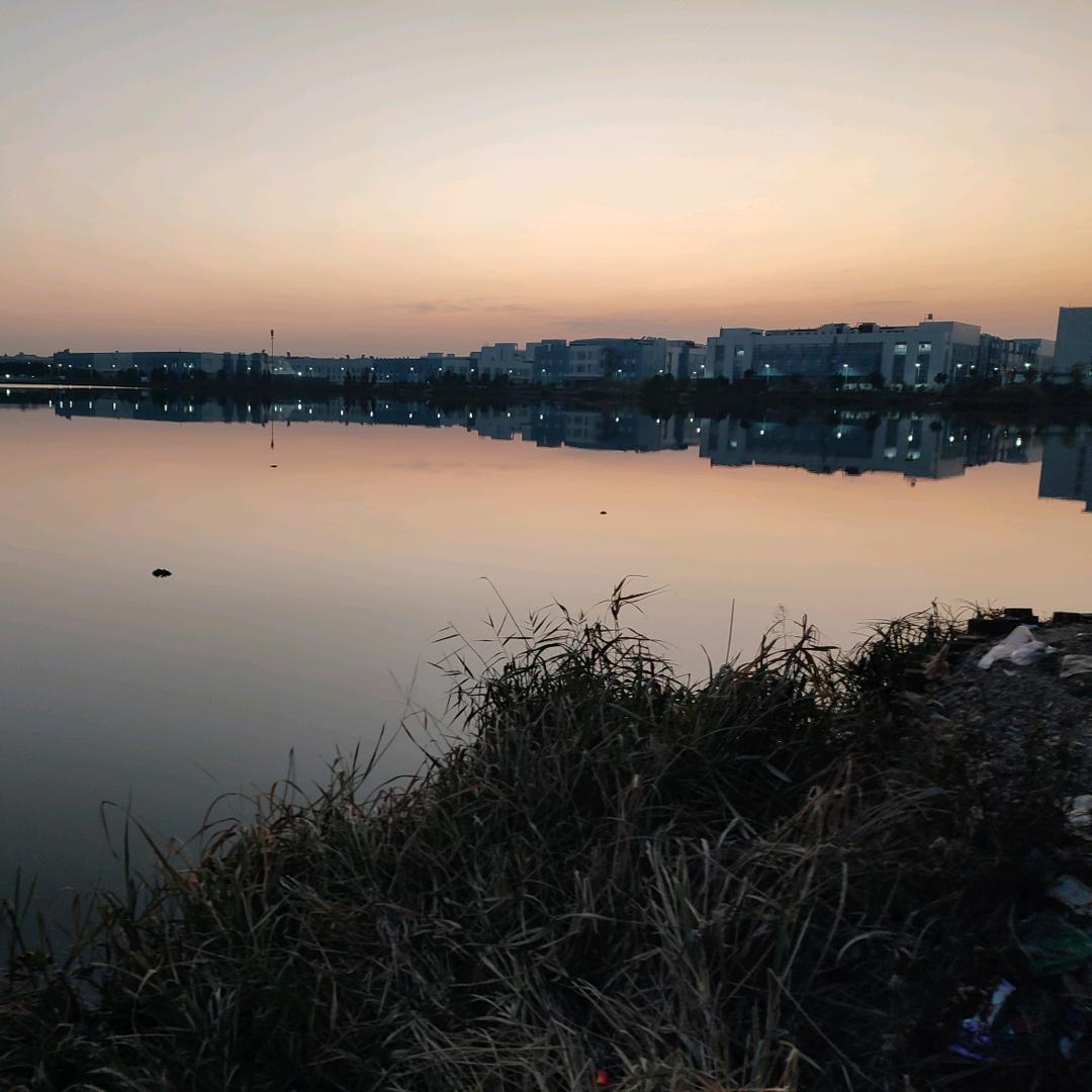 临以渊，羡得鱼