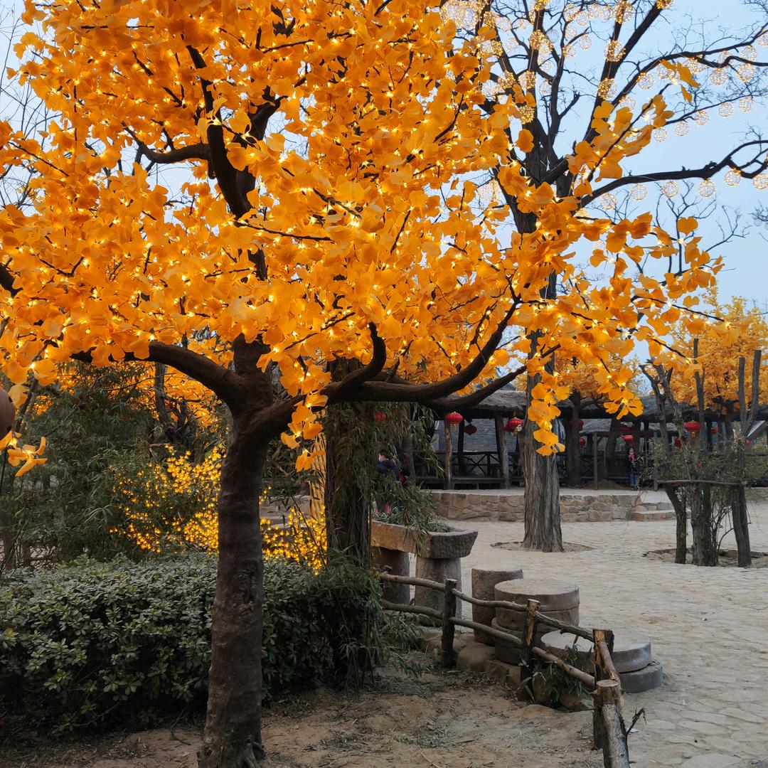 老狼鲜炒鸡（五龙口南路）