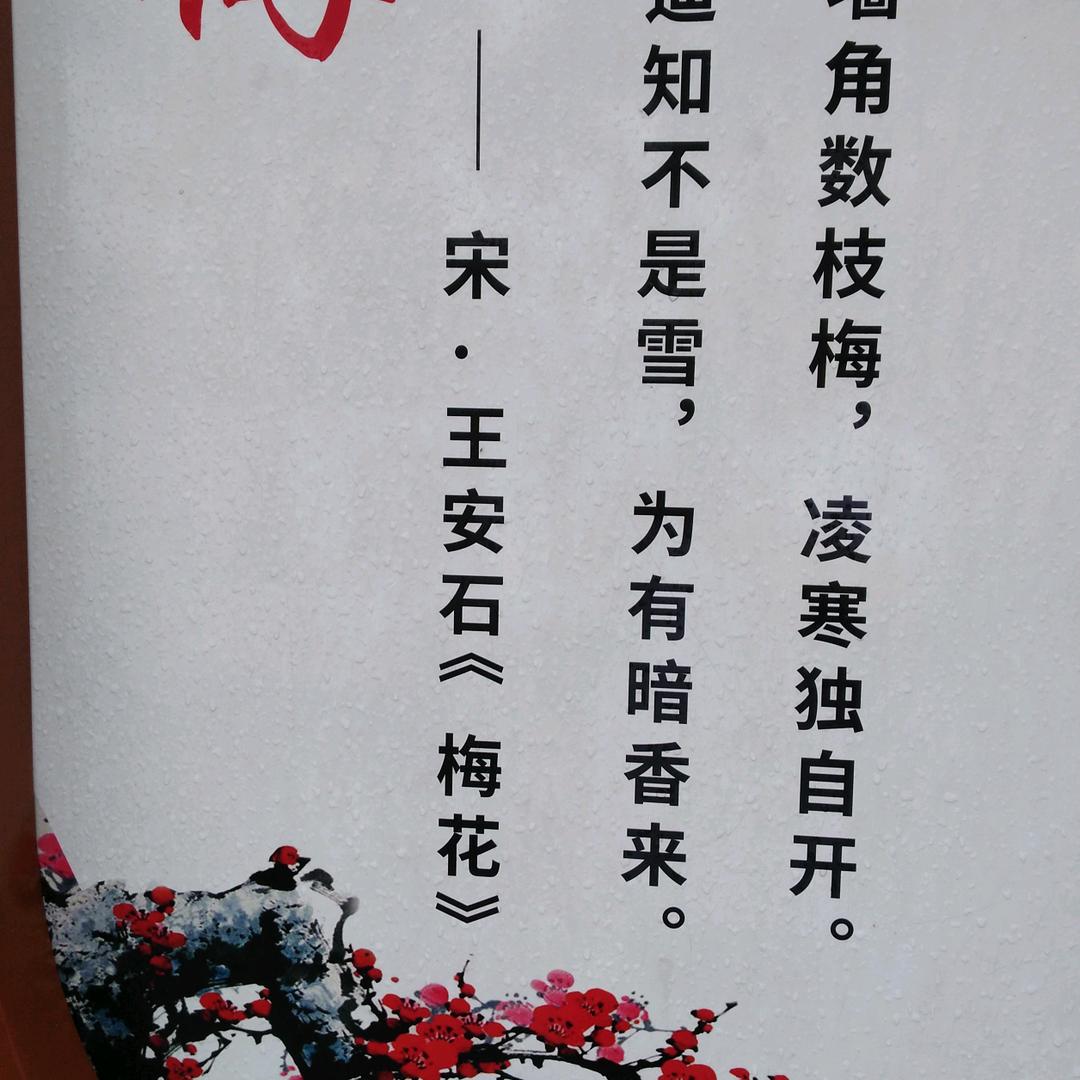 ❤️灵魂守候❤️