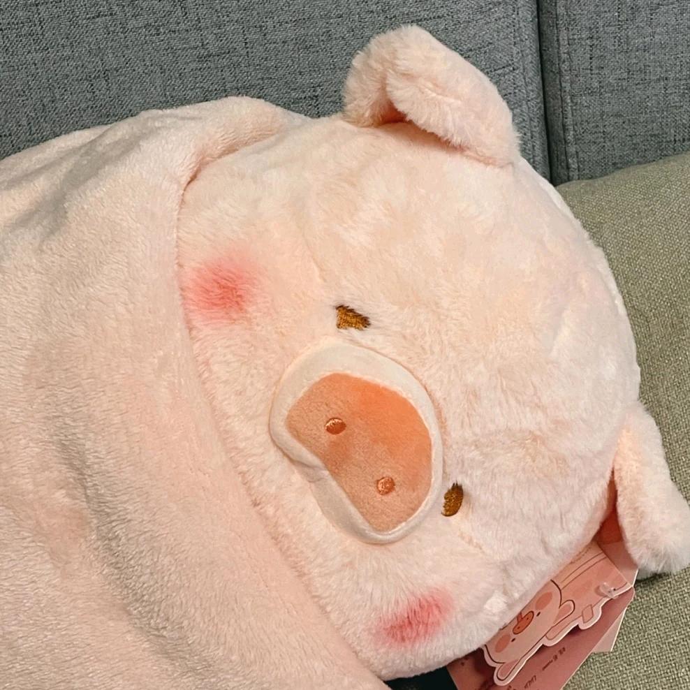 星宝小丸