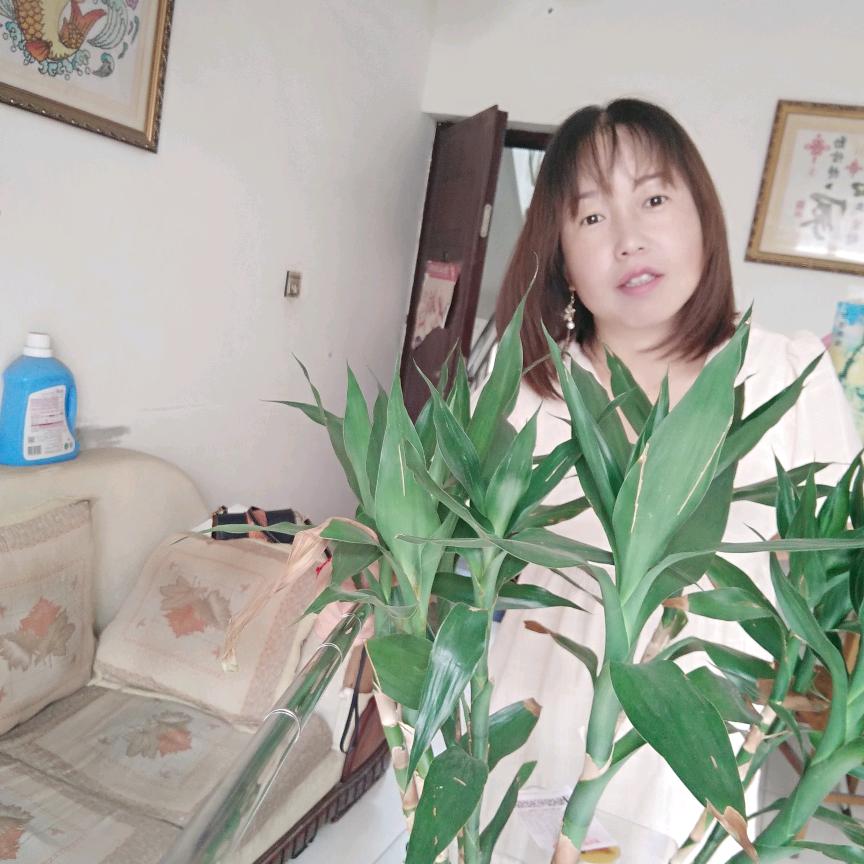 血色玫瑰