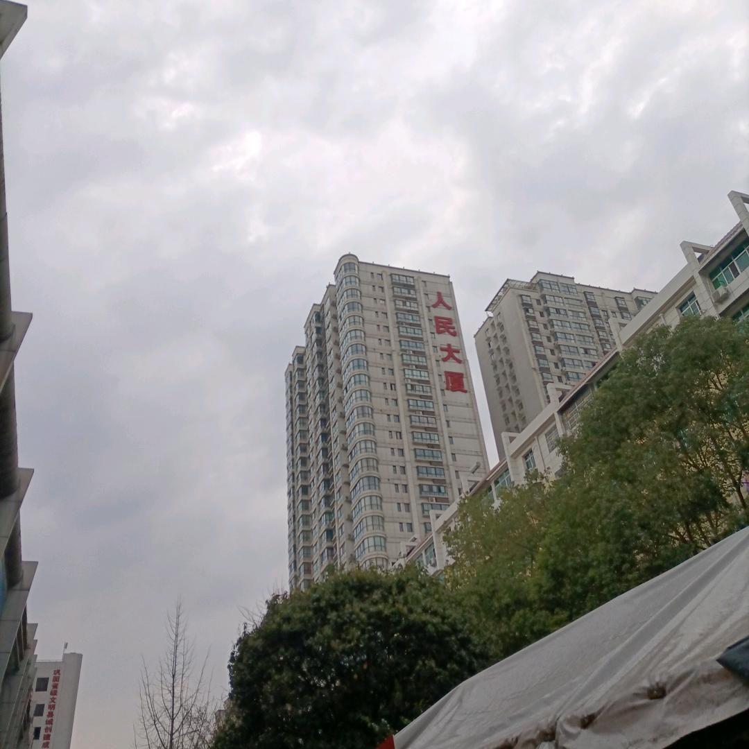 虎.哥