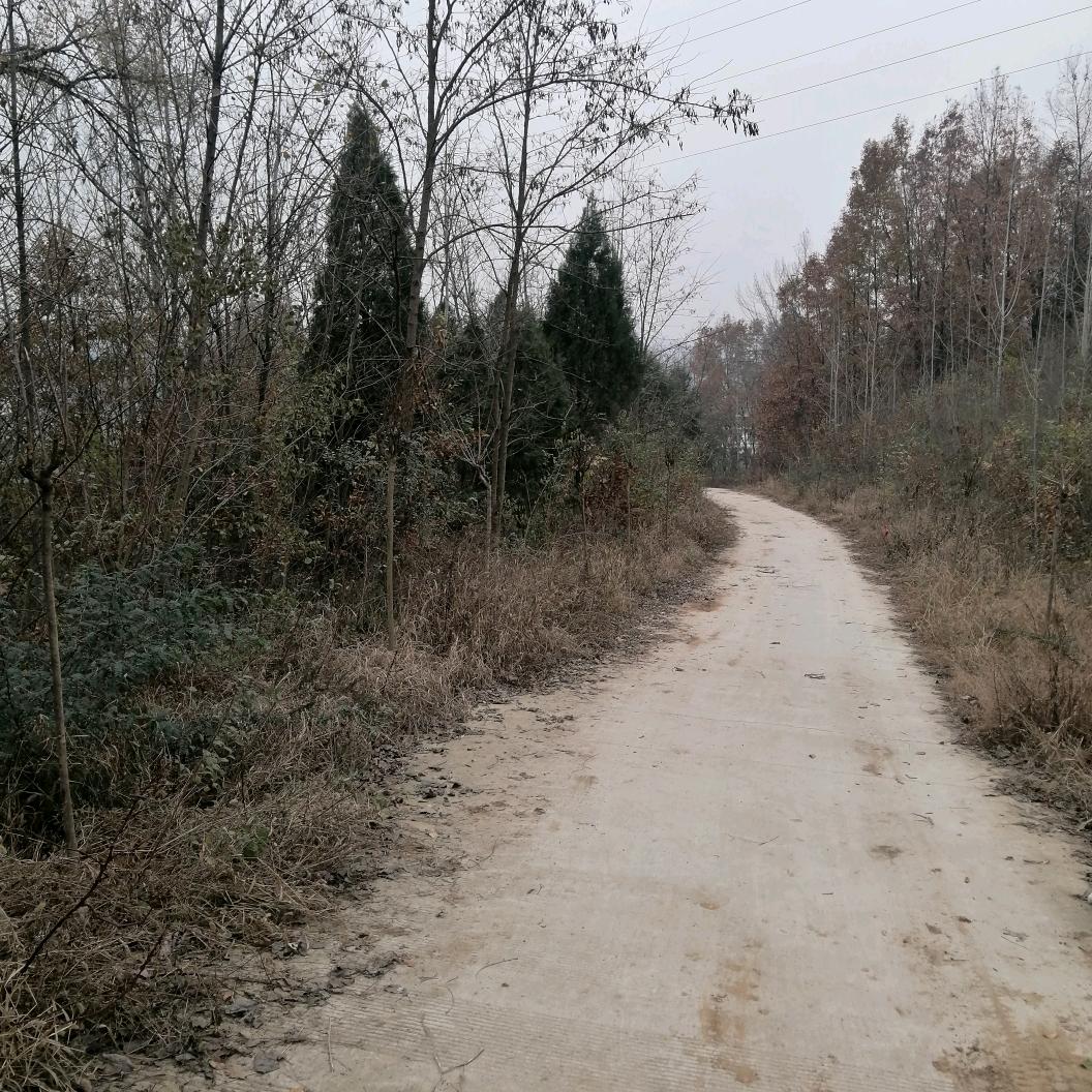 杨哥随车吊租赁