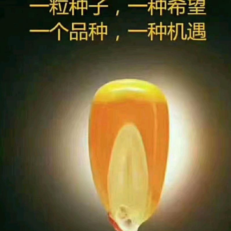 梁山县嘉林农资