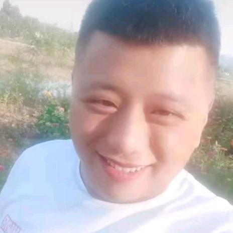 农家黑枣精选店