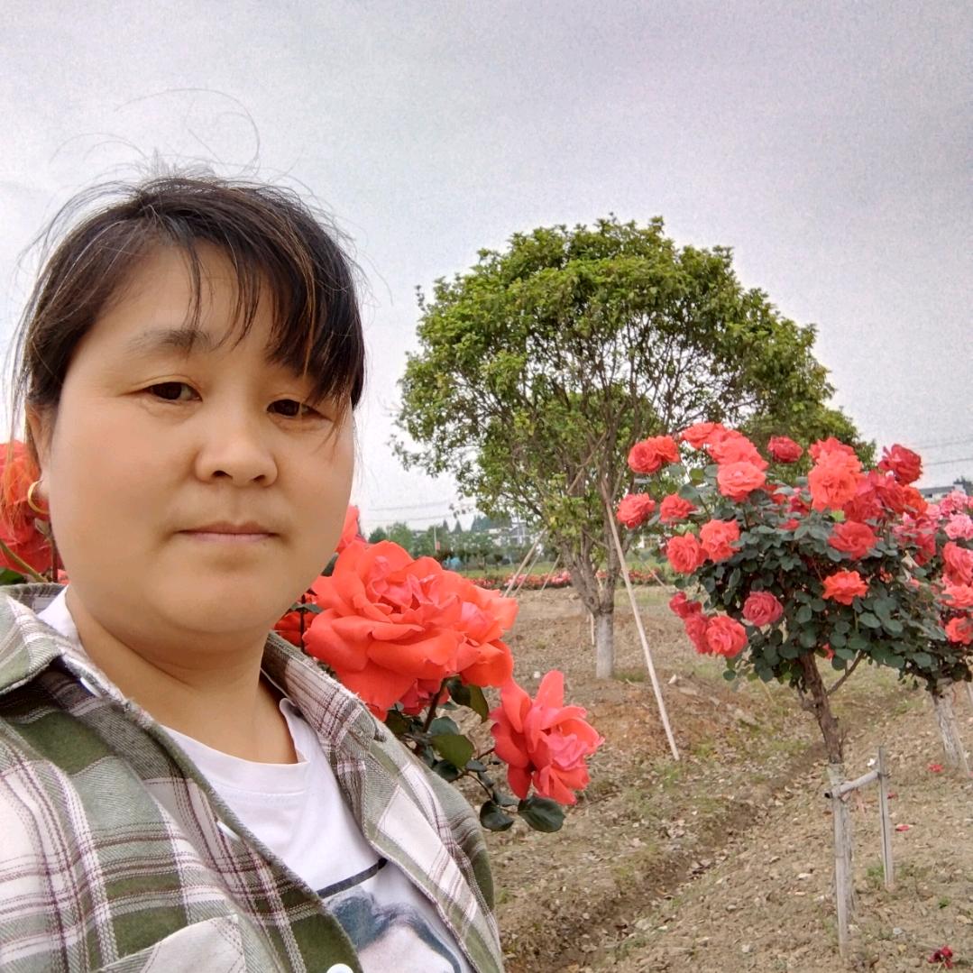 张传萍