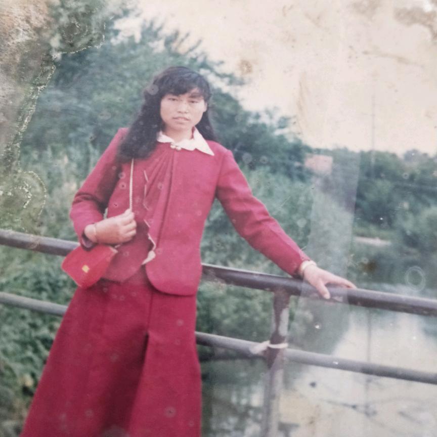梅花，月下仙