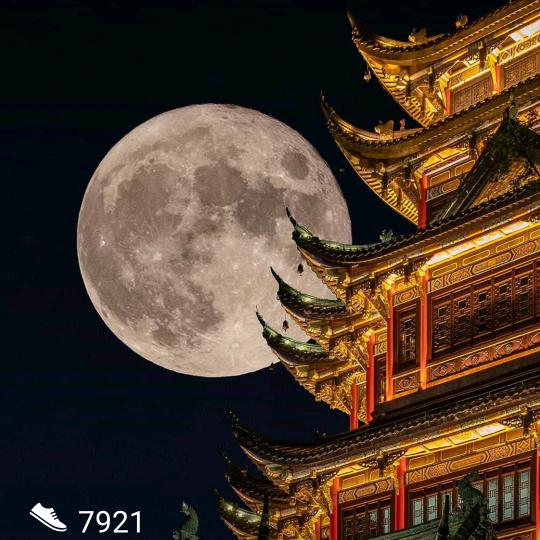 @平凡哥！也是限量版🦂