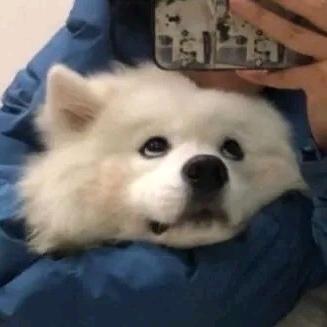 煎饼