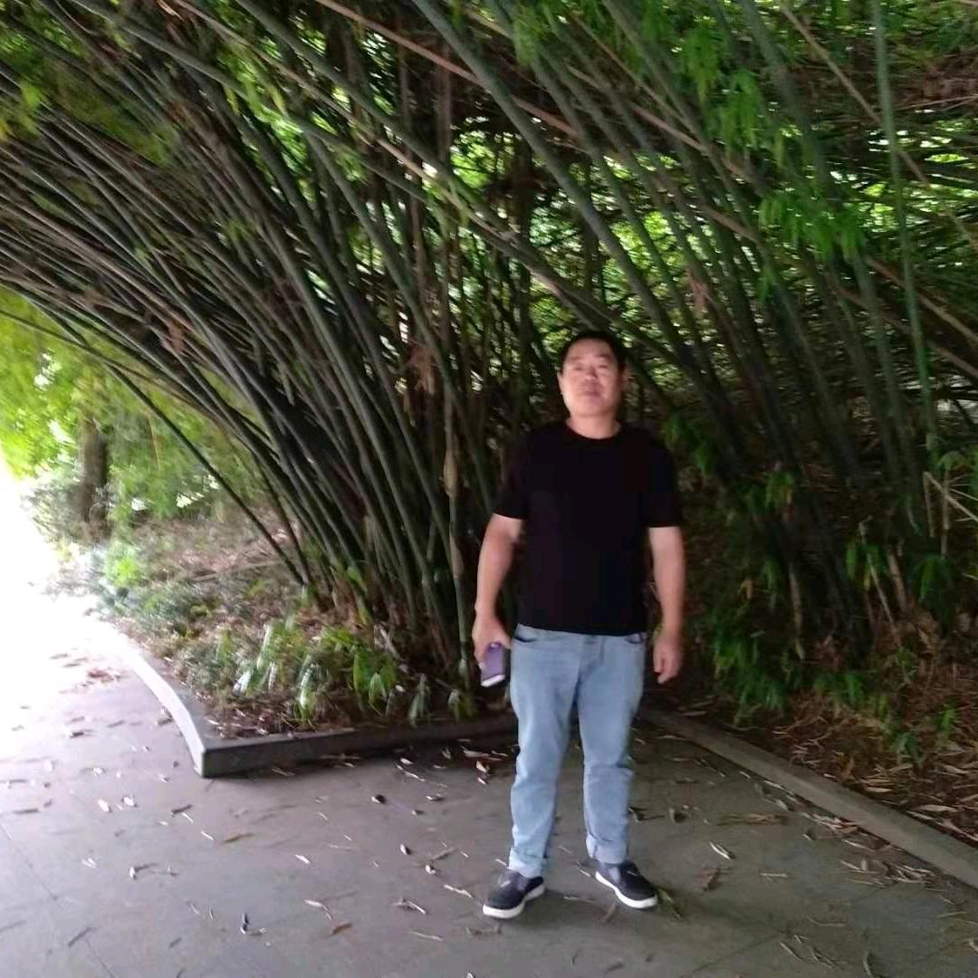 一生无悔