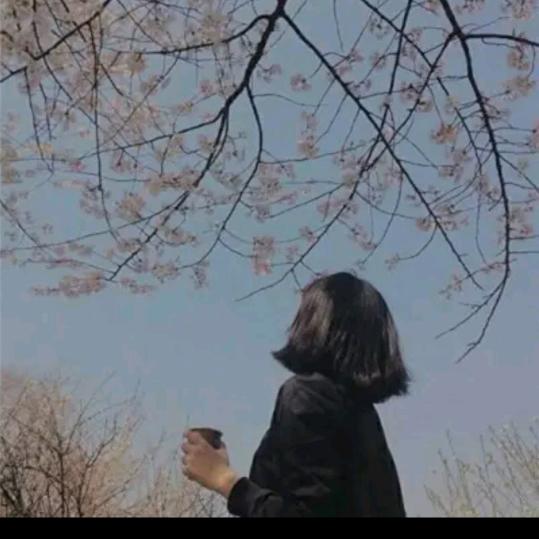 往事别说
