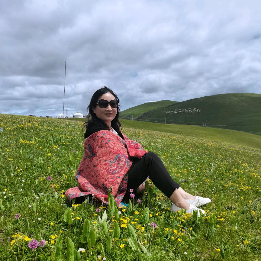 向阳花🌻开
