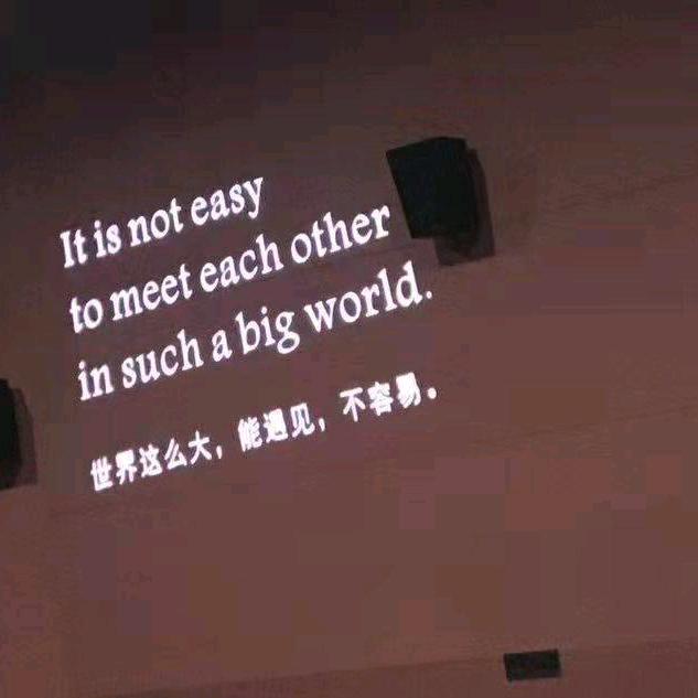 美食街的小吃货