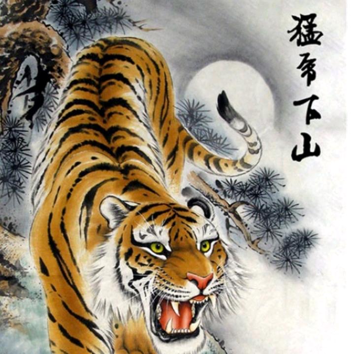 ✈️🌹溜达虎🌹✈️