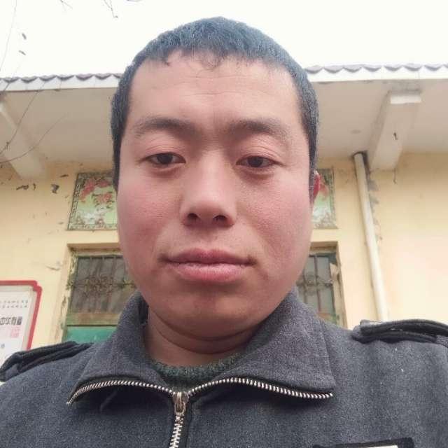 春暖花开张强强 浪迹天涯