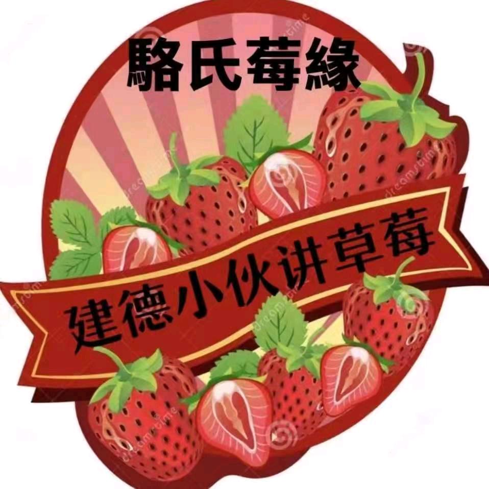 建德小伙讲草莓
