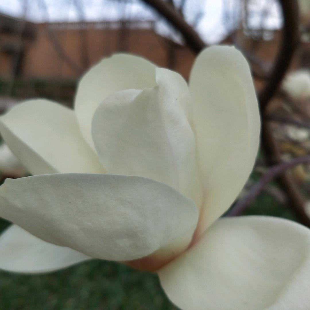 🌸冬雪(*^_^*)💕