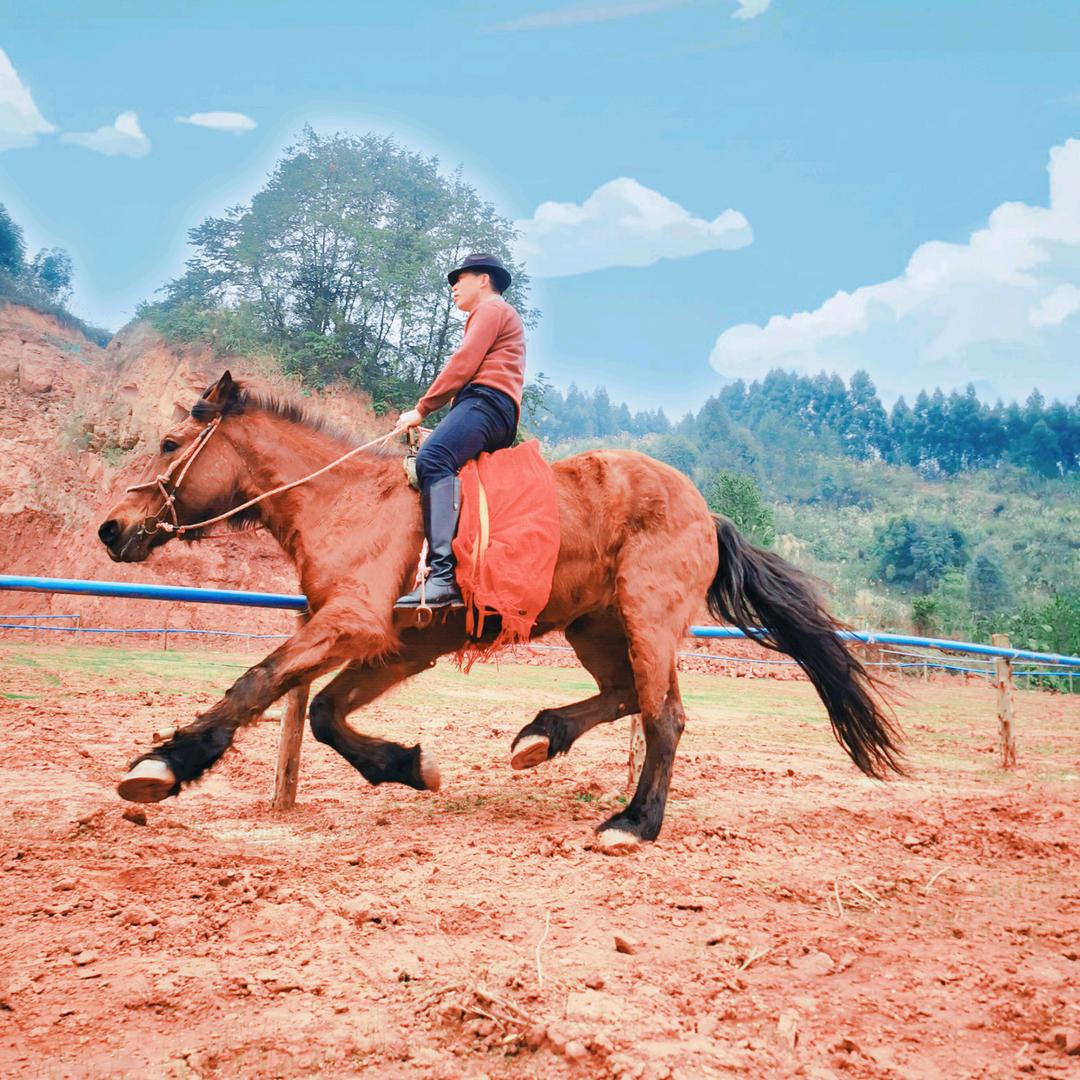 马村水库钓鱼岛