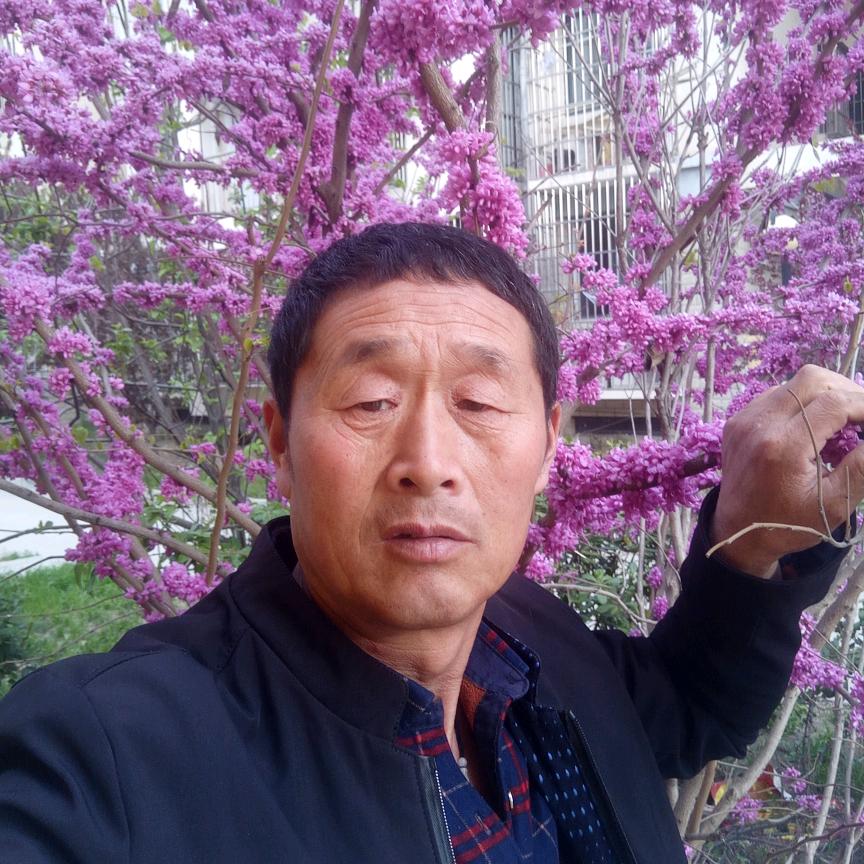 🌹🌹安哥🌺🌺