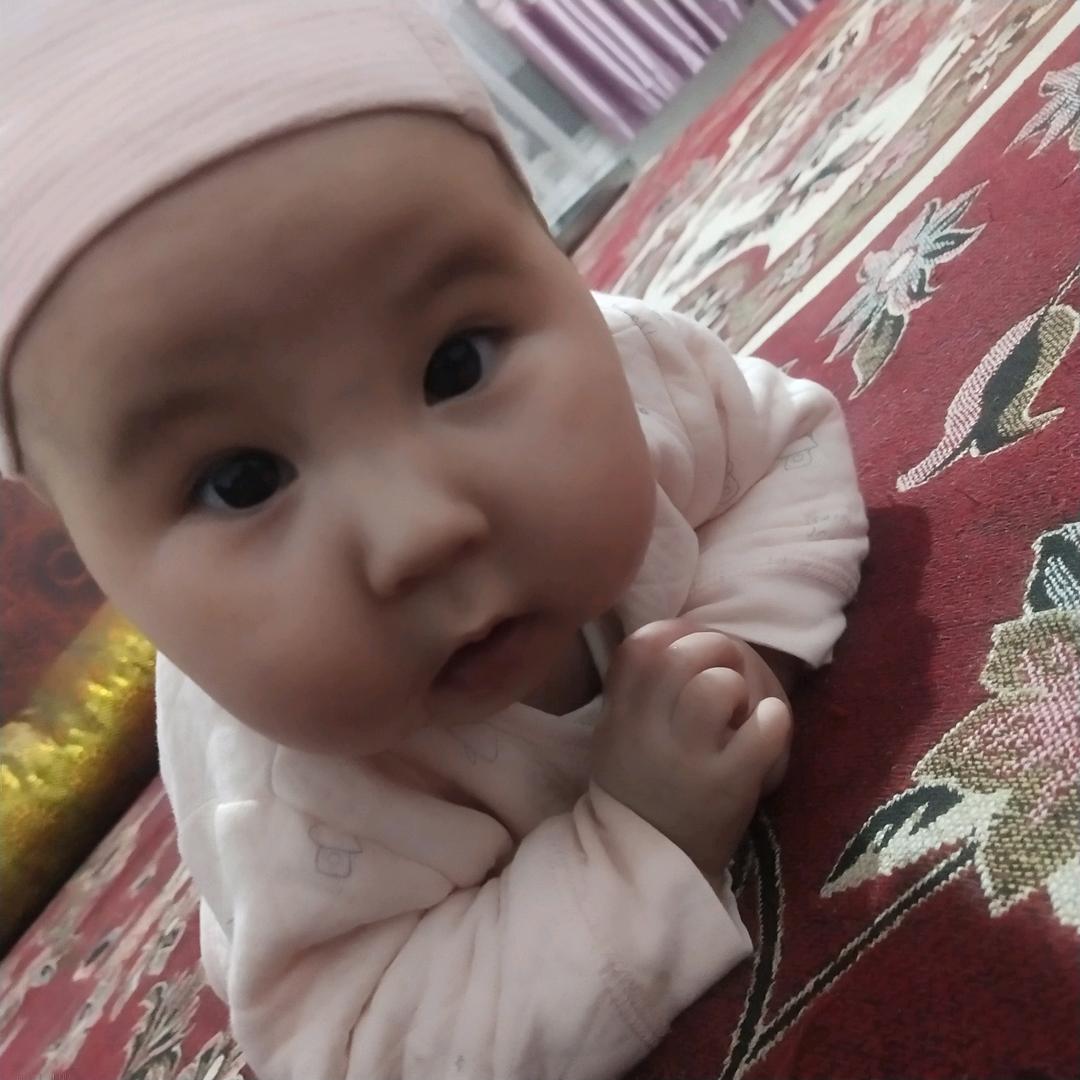 请叫我努哥