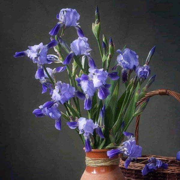 有缘千里来相会