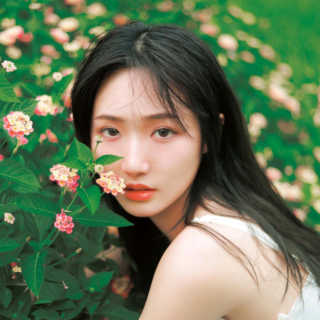 一碗鱼.
