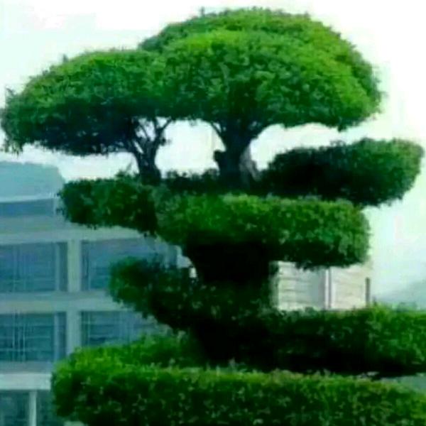 简简单单！关赞秒回！