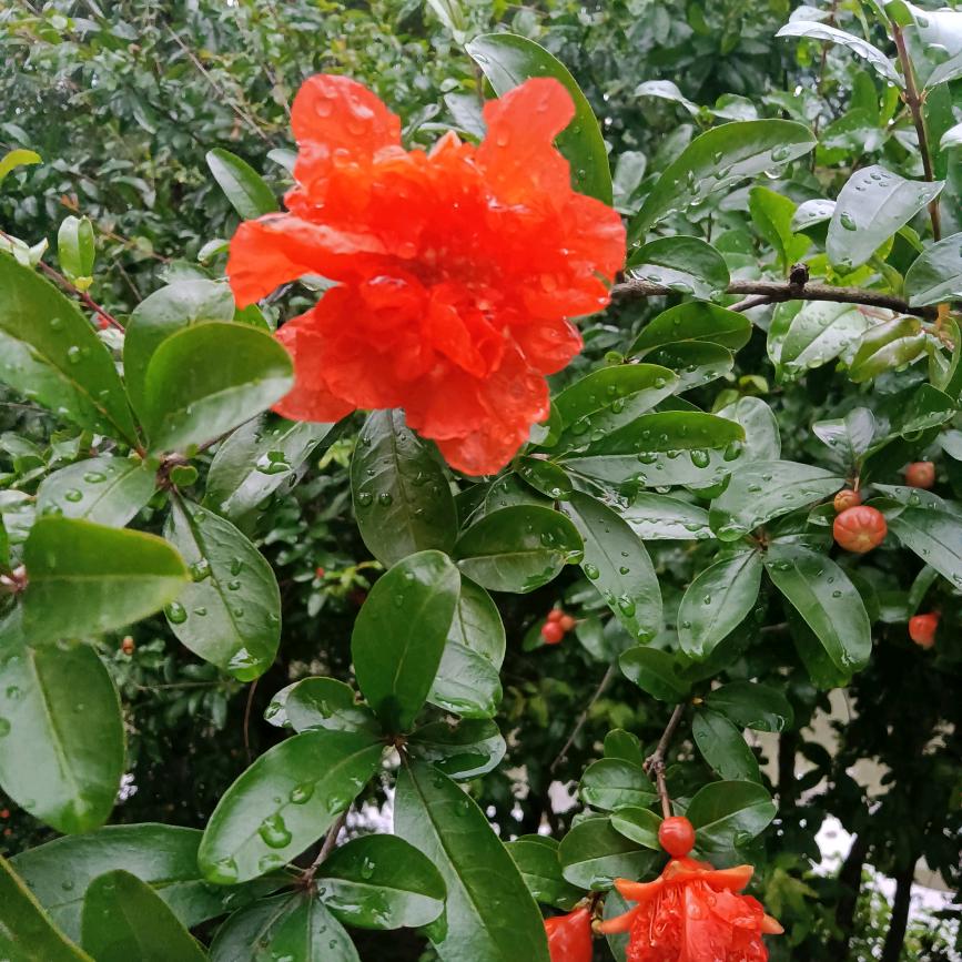 往事清零，爱恨随意，，，，，，