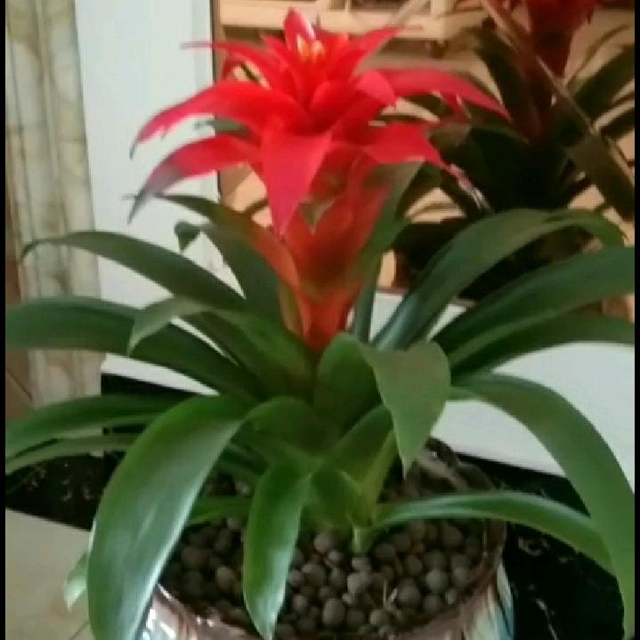 毛坦厂新时代托管生活（祁阿姨）