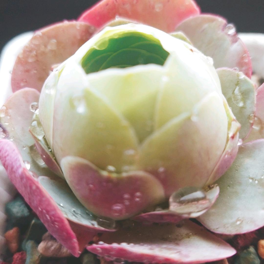 用户9070191222905乐乐