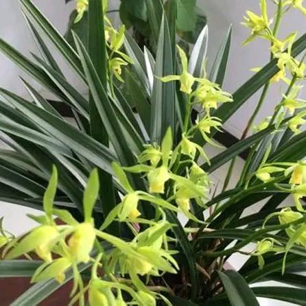 留不住的暮然回首！