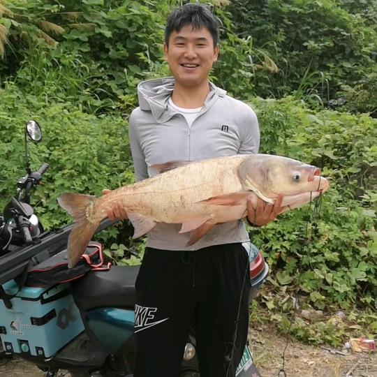 李头  爱钓鲢