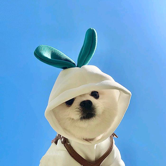 南浔♞