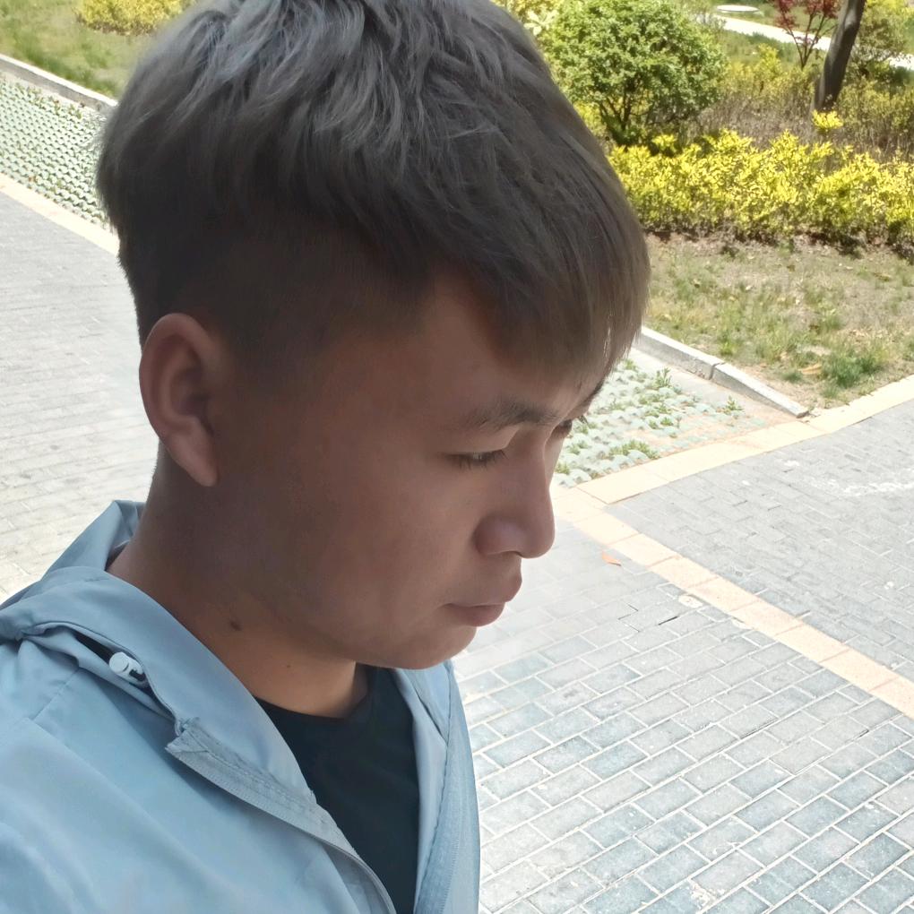 装修小崽