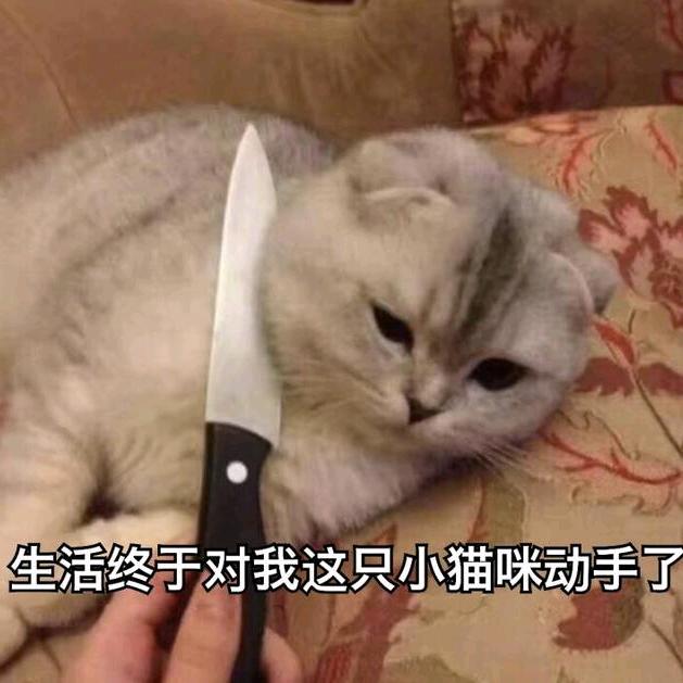 小爽！！！？
