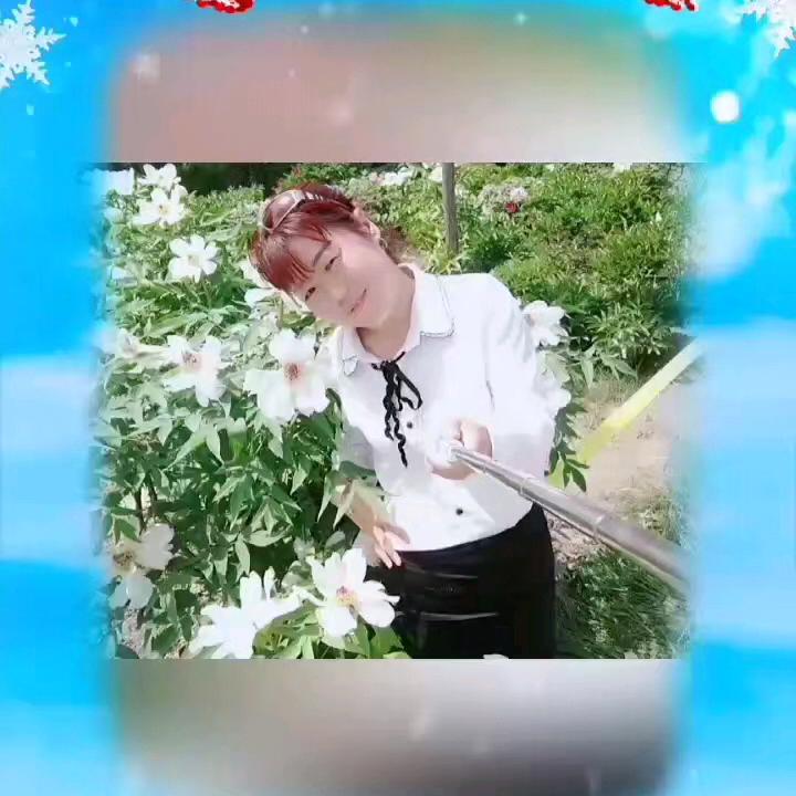 彩虹雨