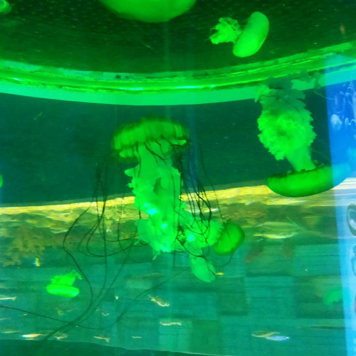 用户9456656659585