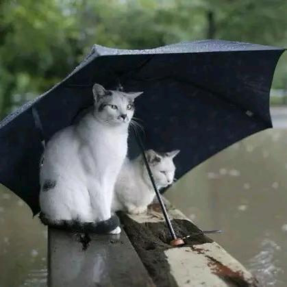 赑鑫🌈🐳🐳🐳