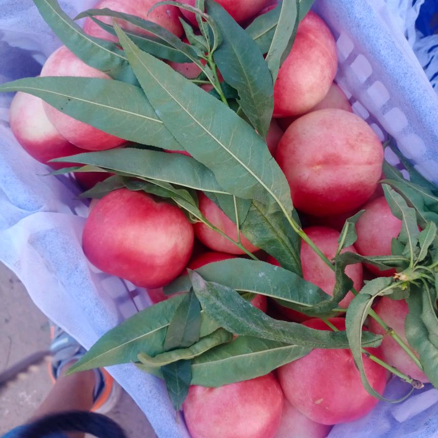 家合万事兴29878