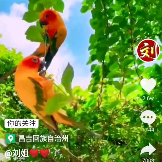 用户6182922718243