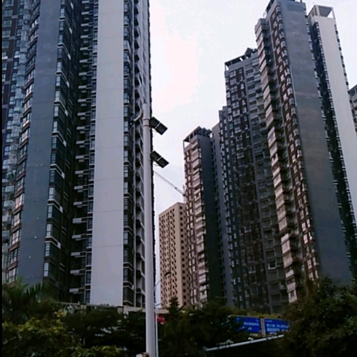 大浪淘沙哥