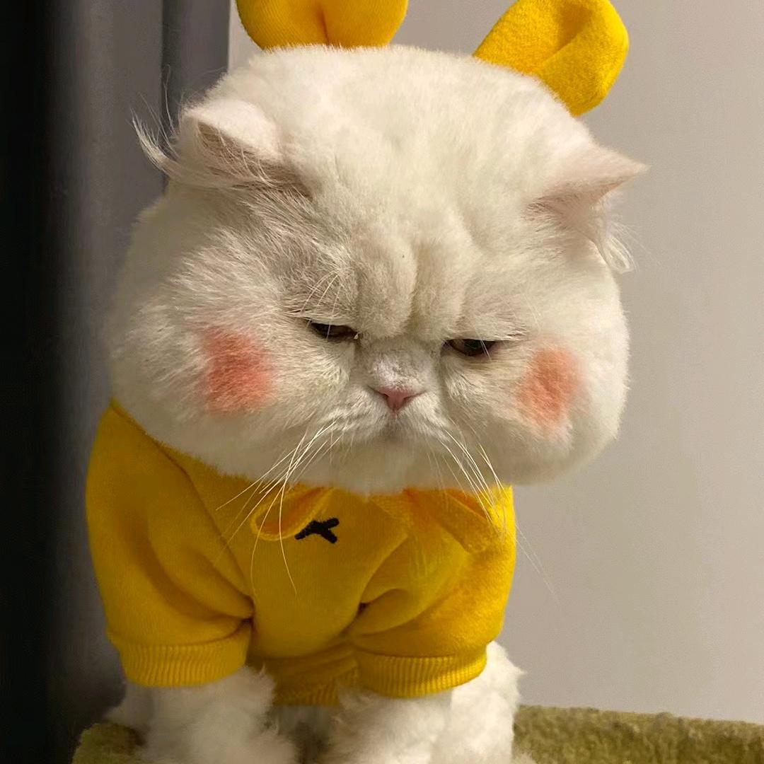 起名费脑子