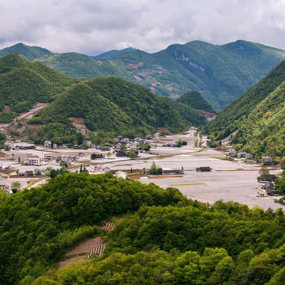 展望未来