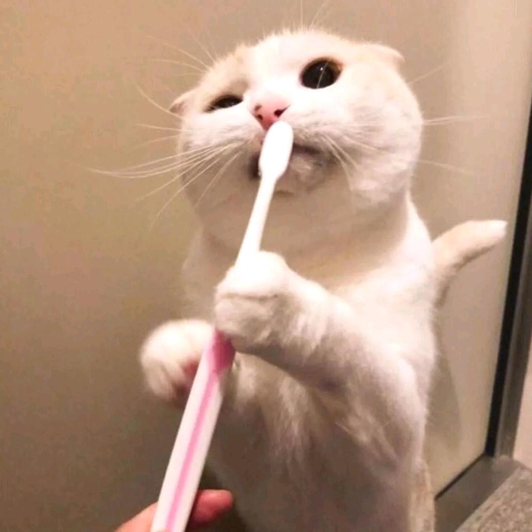 苏州小灵通